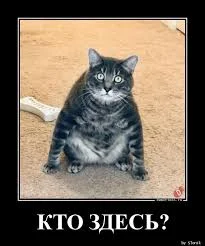 Без названия.webp