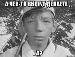 Без названия.webp