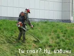 Без названия.webp