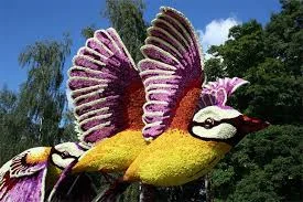 Без названия.webp