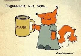 Без названия.webp