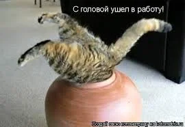 Без названия.webp