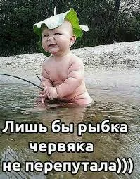 Без названия.webp