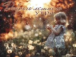 Без названия.webp