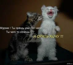 Без названия.webp