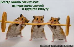 Без названия.webp