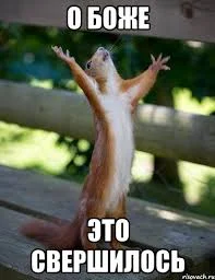 Без названия.webp