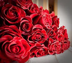 Без названия.webp