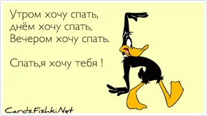 Без названия.webp