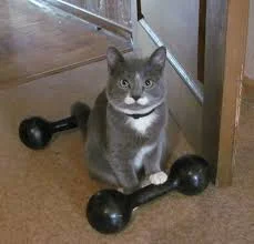 Без названия.webp