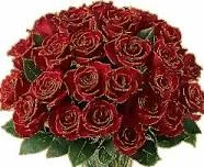 Без названия.webp