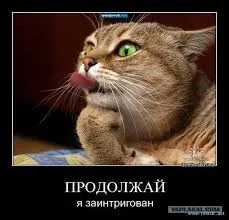 Без названия.webp