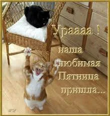 Без названия.webp