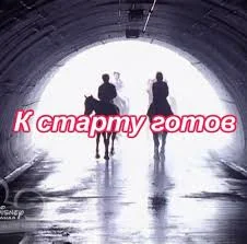 Без названия.webp