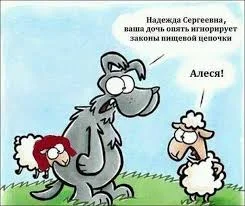 Без названия.webp