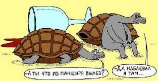 Без названия.webp