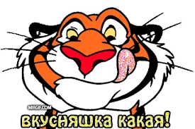 Без названия.webp