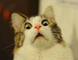 Без названия.webp