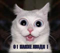 Без названия.webp