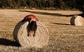 Без названия.webp