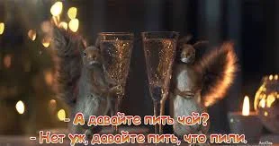 Без названия.webp