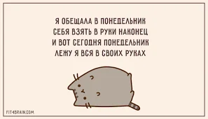Без названия.webp