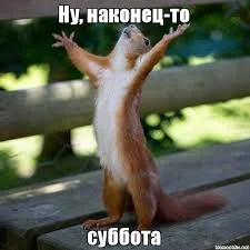 Без названия.webp