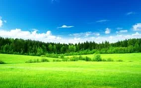 Без названия.webp