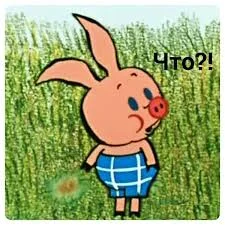 Без названия.webp