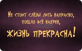 Без названия.webp