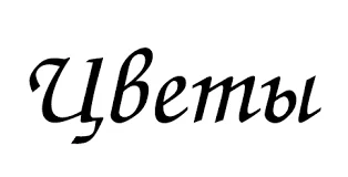 Без названия.webp