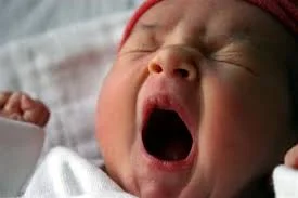 Без названия.webp