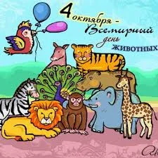 Без названия.webp