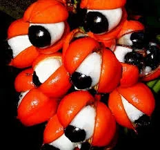 Без названия.webp