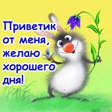 Без названия.webp