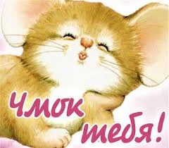 Без названия.webp