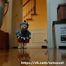 Без названия.webp