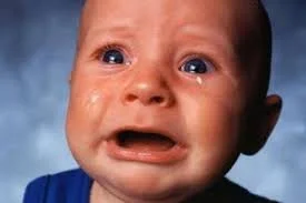 Без названия.webp