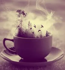 Без названия.webp