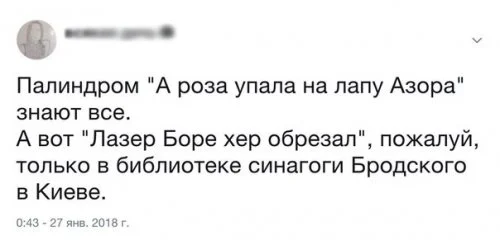 Без названия.webp