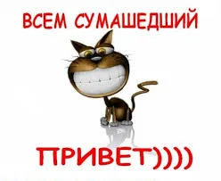 Без названия.webp