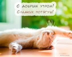 Без названия.webp