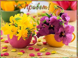 Без названия.webp