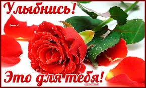 Без названия.webp