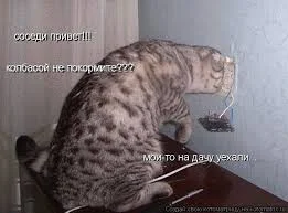 Без названия.webp