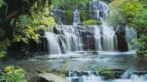 Без названия.webp