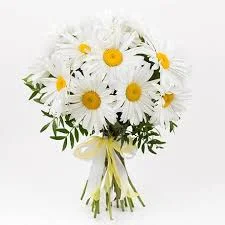 Без названия.webp