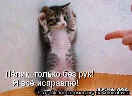 Без названия.webp