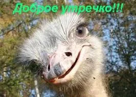 Без названия.webp