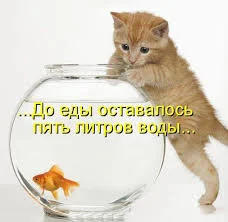 Без названия.webp